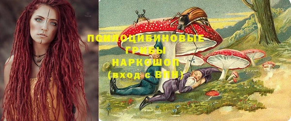 экстази Гусь-Хрустальный