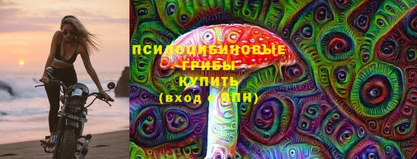 экстази Гусь-Хрустальный