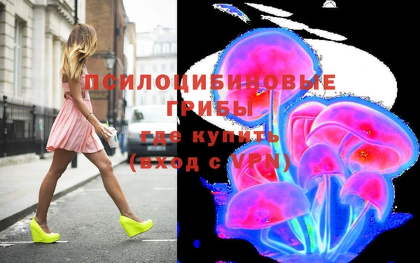 экстази Гусь-Хрустальный