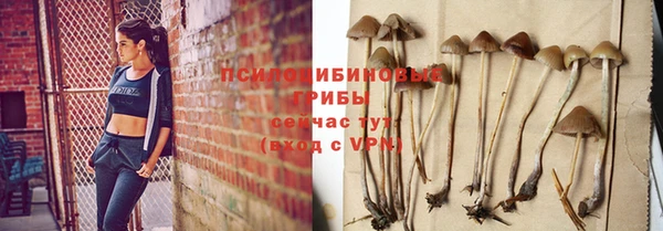 первитин Гусиноозёрск