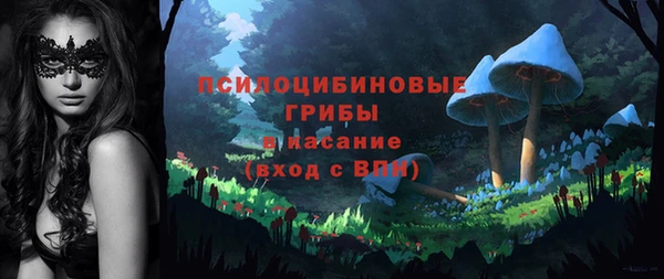 мяу мяу мука Гусев