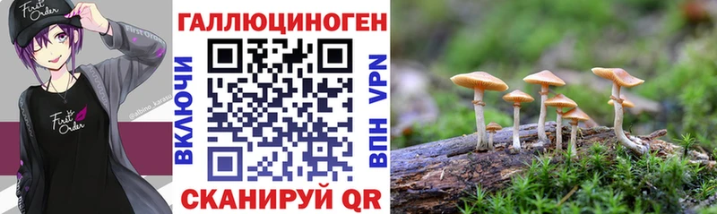 Купить где  Бирск  Псилоцибиновые грибы мицелий 
